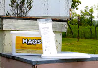 FAI_Maqs_Antivarroa--